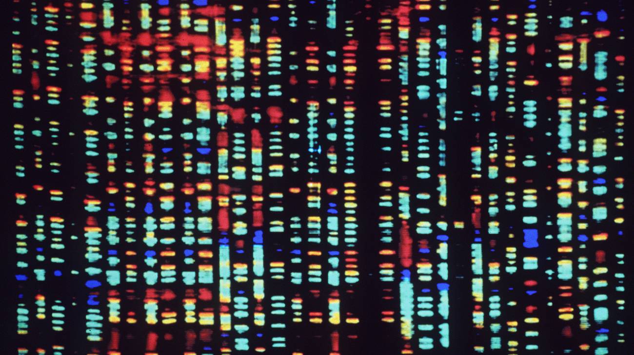 frammento genoma umano